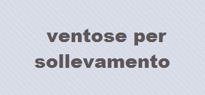 ventosa per lamiera inforcabile per muletto